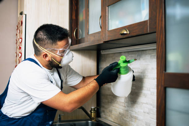 Best Wildlife Control Services  in Vivian, LA