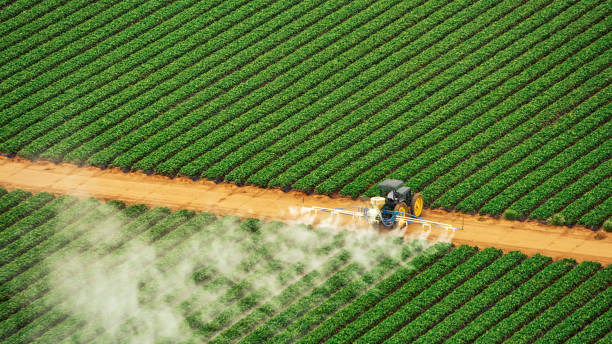 Best Best Pest Control Companies  in Vivian, LA