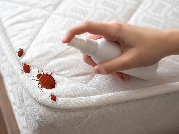 Best Pest Removal Services  in Vivian, LA