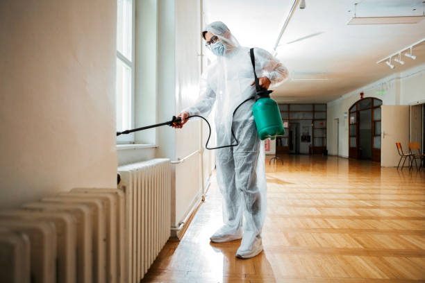 Best Mosquito Control Services  in Vivian, LA